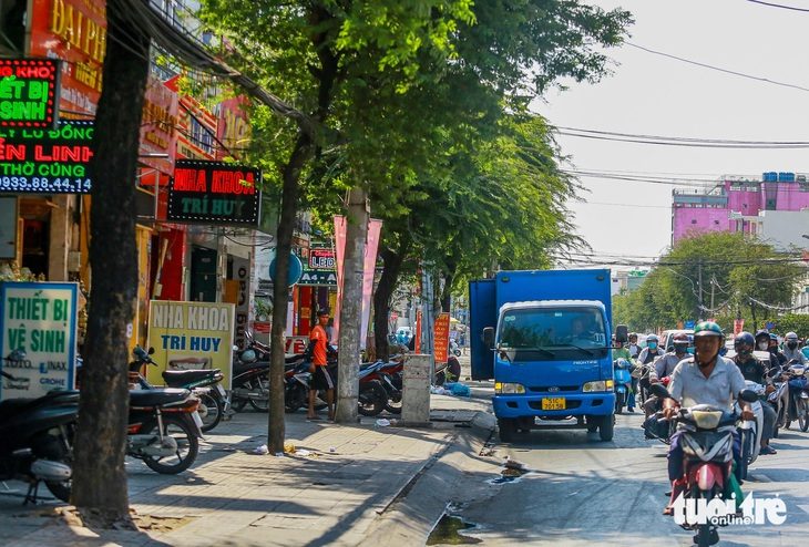 650 cây xanh mất an toàn ở TP.HCM được thay thế trước mùa mưa 2024- Ảnh 1. Đa số cây xanh dọc tuyến đường Trường Chinh (quận Tân Bình) nằm trong diện phải đốn hạ để làm dự án metro số 2 - Ảnh: CHÂU TUẤN